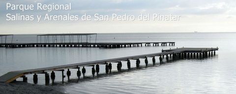Salinas de San Pedro